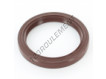 OAS-55X70X8-FPM