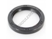 OAS-55X73X10-NBR