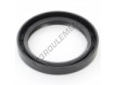OAS-55X73X10-NBR