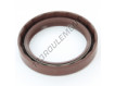 OAS-60X80X13-FPM