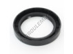 OAS-60X85X13-NBR