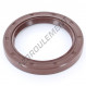 Joint SPI - OAS-63X85X10-FPM