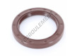 OAS-63X85X10-FPM