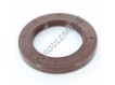 OAS-70X110X12-FPM