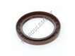 OAS-95X130X13-FPM