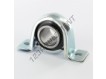 P30TF-SKF