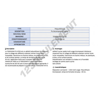 PU-6700-250ML-TEROSON