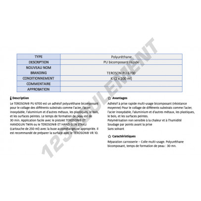 PU-6700-KIT-2X200ML-TEROSON