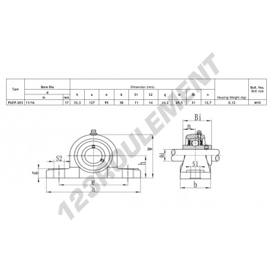 PUCP-203