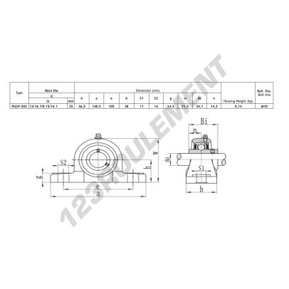 PUCP-205