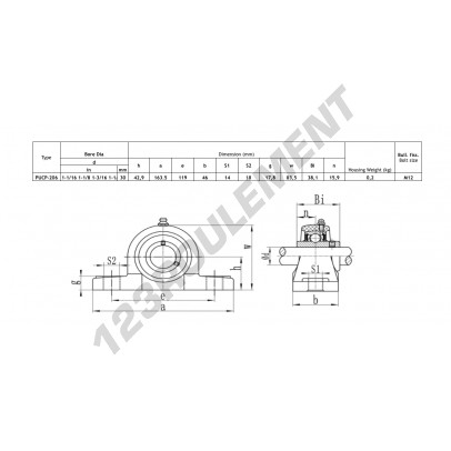 PUCP-206