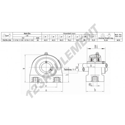 PUCPA-206