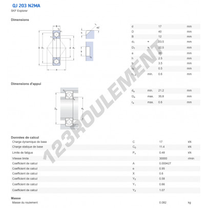 QJ203-N2MA-C2L-SKF