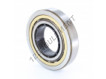 QJ213-MA-SKF