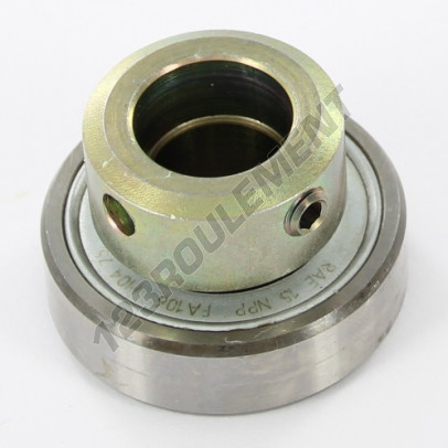 RAE15-NPP-FA106-INA