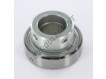 RAE25-NPP-FA106-INA