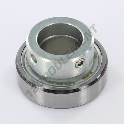 RAE25-NPP-FA106-INA
