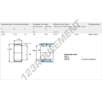 RNA4832-SKF