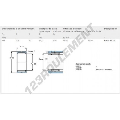 RNA4915-SKF