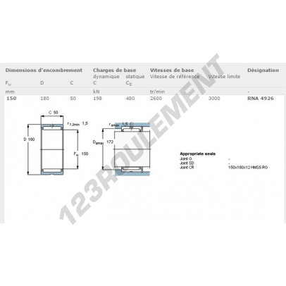 RNA4926-SKF