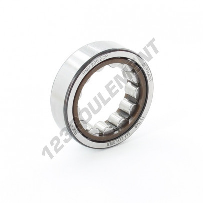 RNU205-ECP-SKF