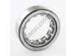 RNU205-SKF