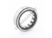RNU206-ECP-SKF