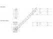 RNU206-ECP-SKF