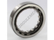 RNU210-SKF