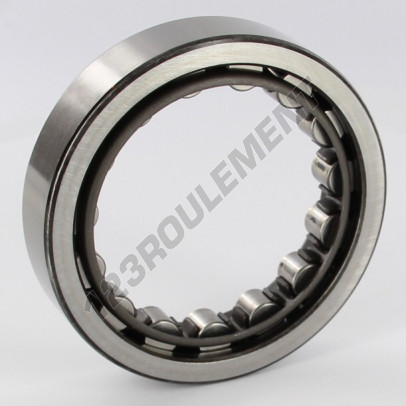 RNU210-SKF