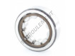 RNU304-ECP-SKF