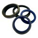 Joint racleur - RS-38.100X47.540X4.460-PU94