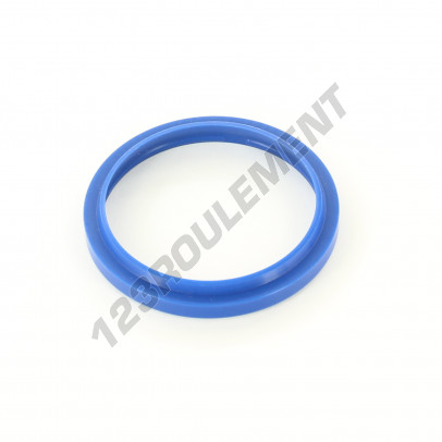 RS-46X54X5-7-PU94