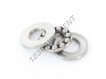 S51203-INOX