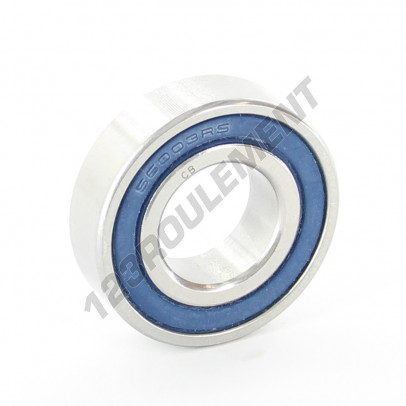 S6003-2RS-J-CB-DRY-ZEN