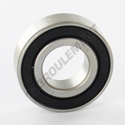 S6004-2RS-C3-EZO