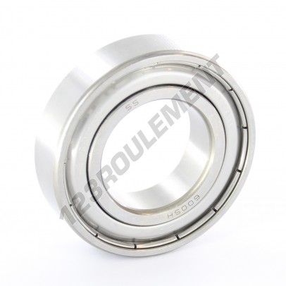 S6005-ZZ-INOX-EZO