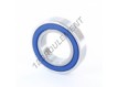 S6007-2RS-FDA-AISI420-ZEN