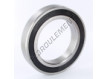 S6018-2RS-INOX