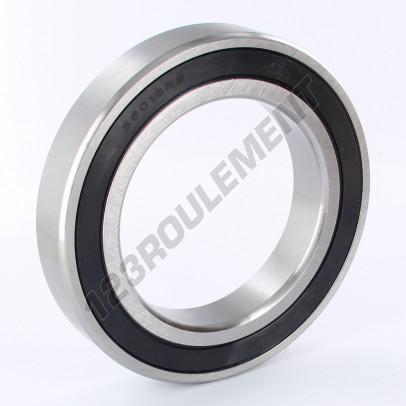 S6018-2RS-INOX