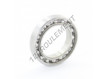 S61803-EZO