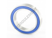 S61910-2RS-ZEN