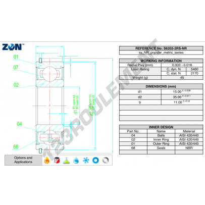 S6202-2RS-NR-ZEN