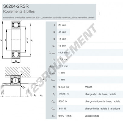 S6204-2RSR-HLC-FAG