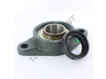 SAFL212