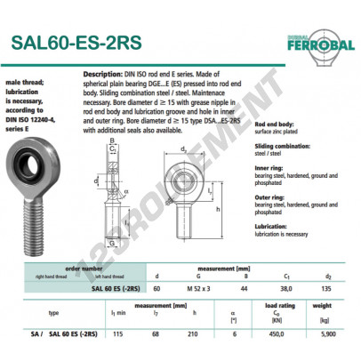 SAL60-ES-2RS-DURBAL