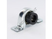SAPP203