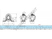 SAPP203