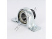 SAPP204