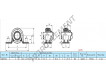 SAPP204